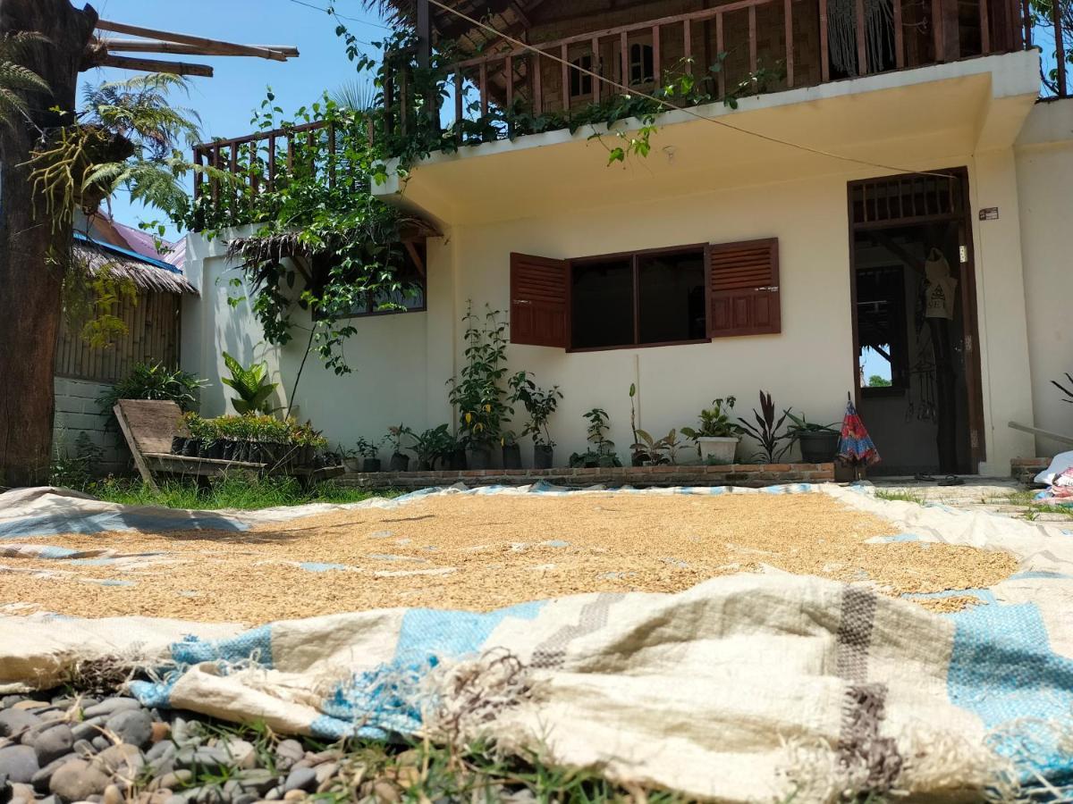 בוקיט לוואנג Sumatra Expedition Lodge מראה חיצוני תמונה