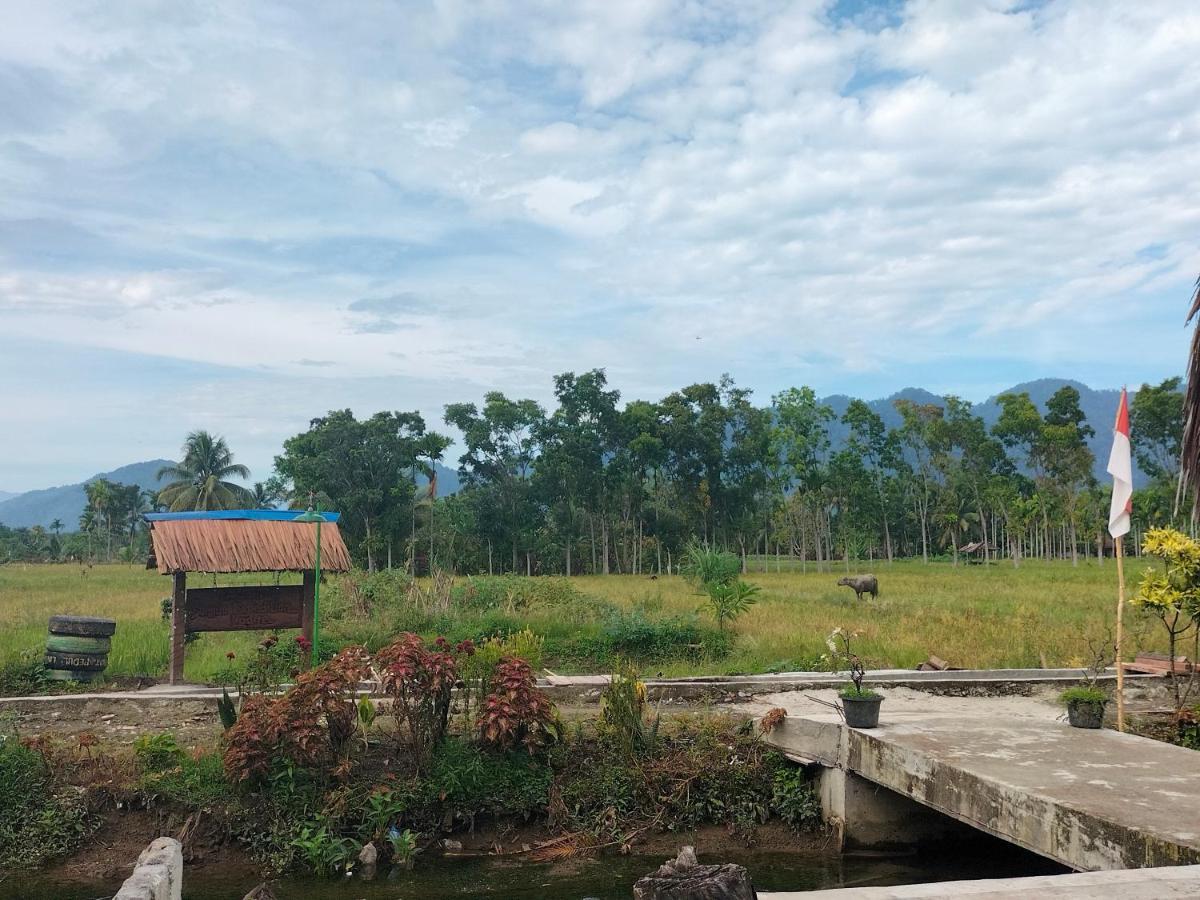 בוקיט לוואנג Sumatra Expedition Lodge מראה חיצוני תמונה