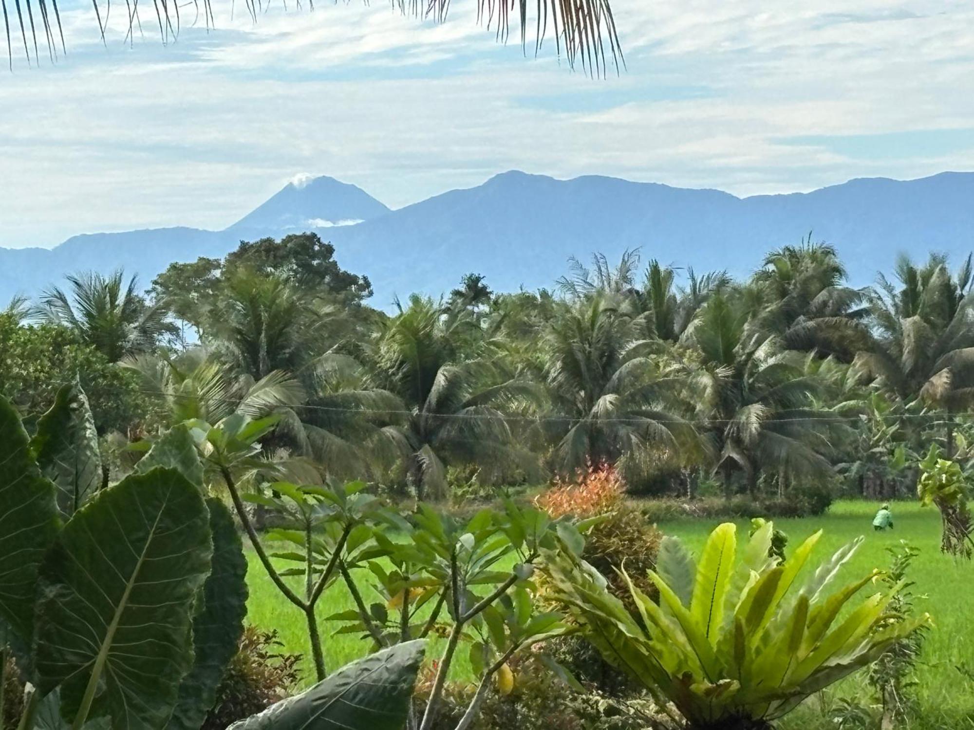 בוקיט לוואנג Sumatra Expedition Lodge מראה חיצוני תמונה