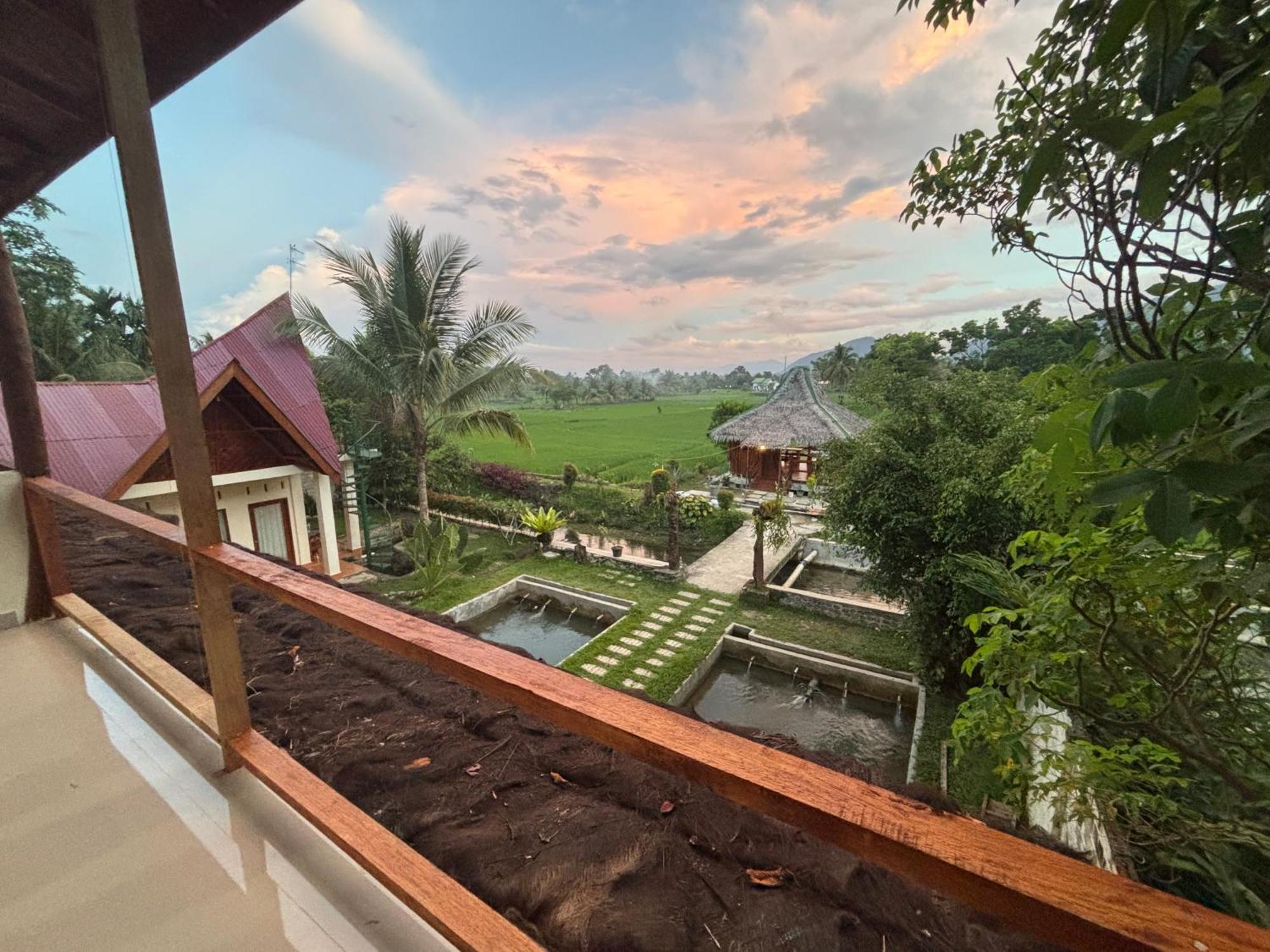 בוקיט לוואנג Sumatra Expedition Lodge מראה חיצוני תמונה