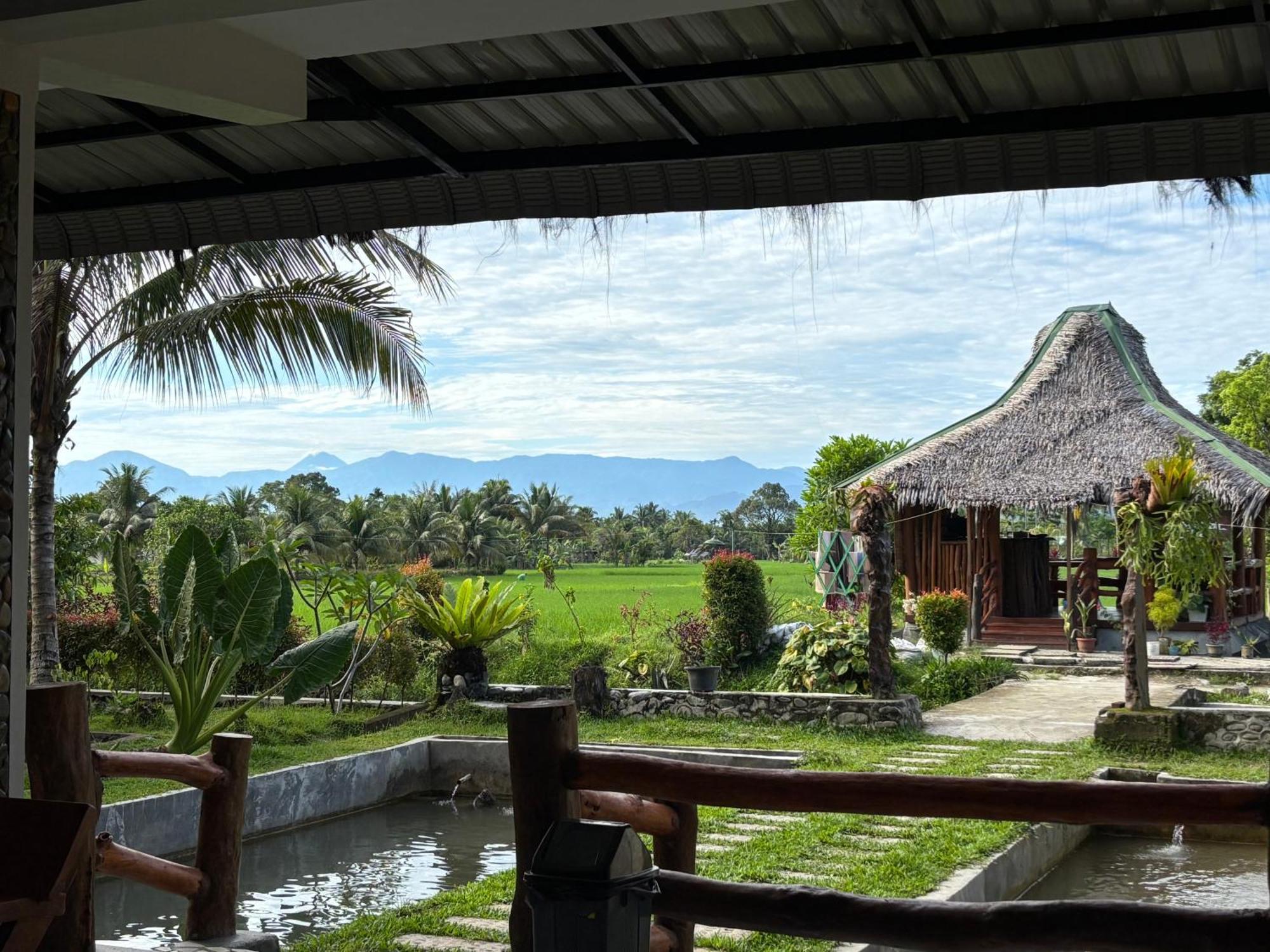 בוקיט לוואנג Sumatra Expedition Lodge מראה חיצוני תמונה